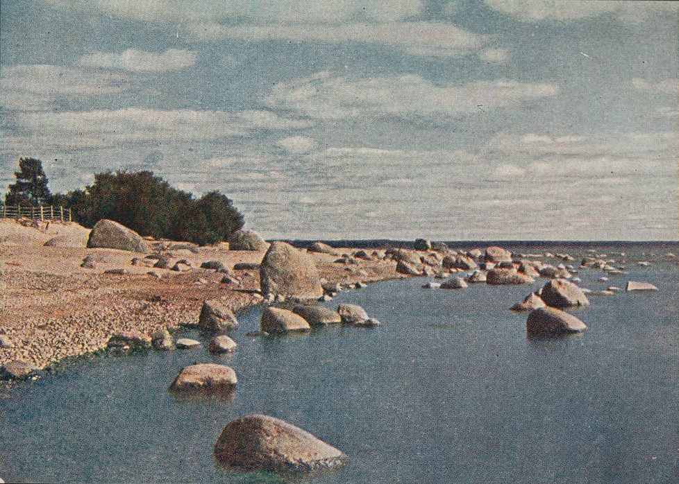 . . -.   ().  1903 ( 1904) 