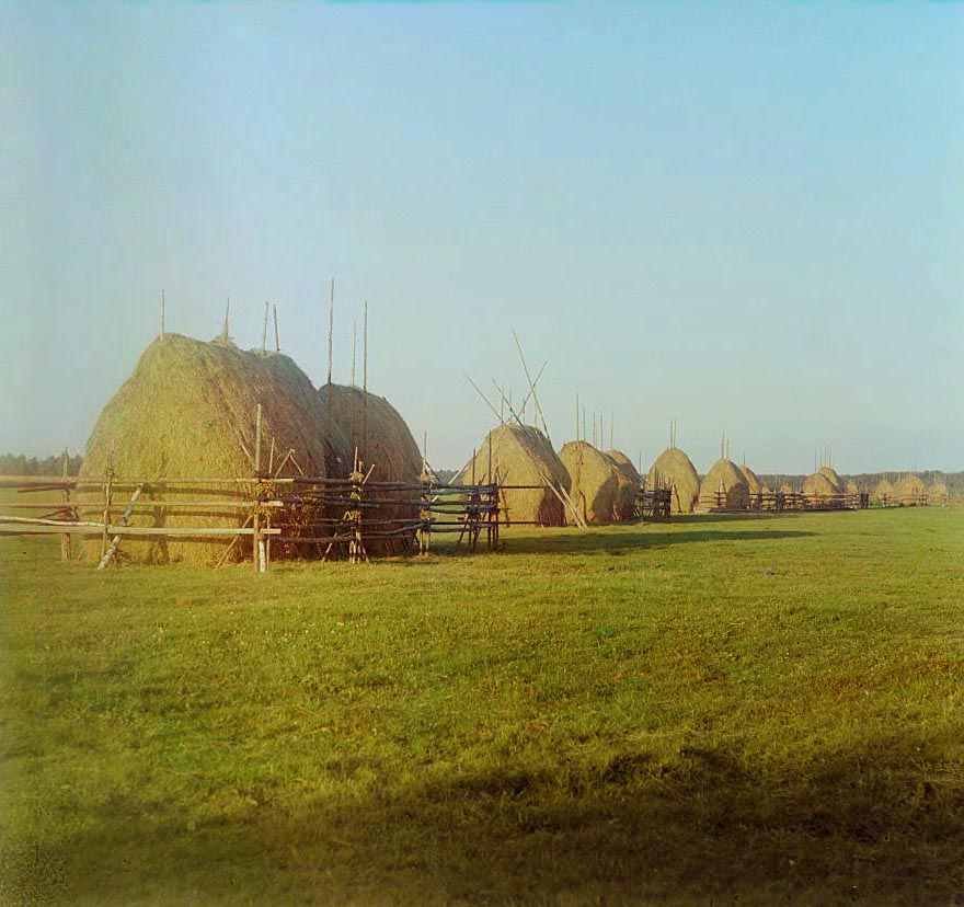 С. М. Прокудин-Горский. Стога сена. 1909 год С. М. Прокудин-Горский. Стога сена. 1909 год