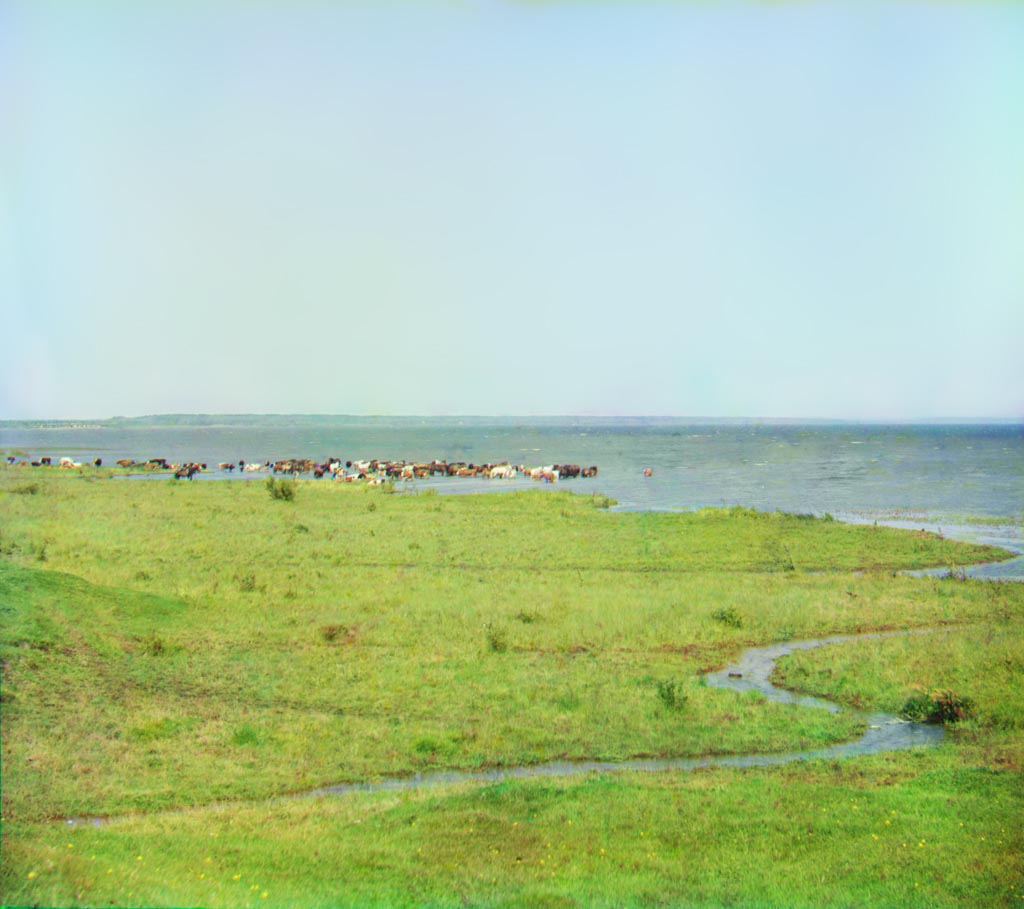 С. М. Прокудин-Горский. Переяславльское озеро. / [Плещеево озеро.] 1911 год