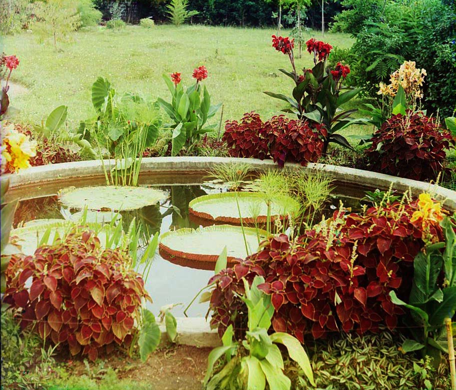 . . -. Victoria Regia.       .    1912 . .   . 1912 .